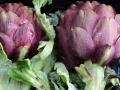 Artichokes from the fruit shop at our front door